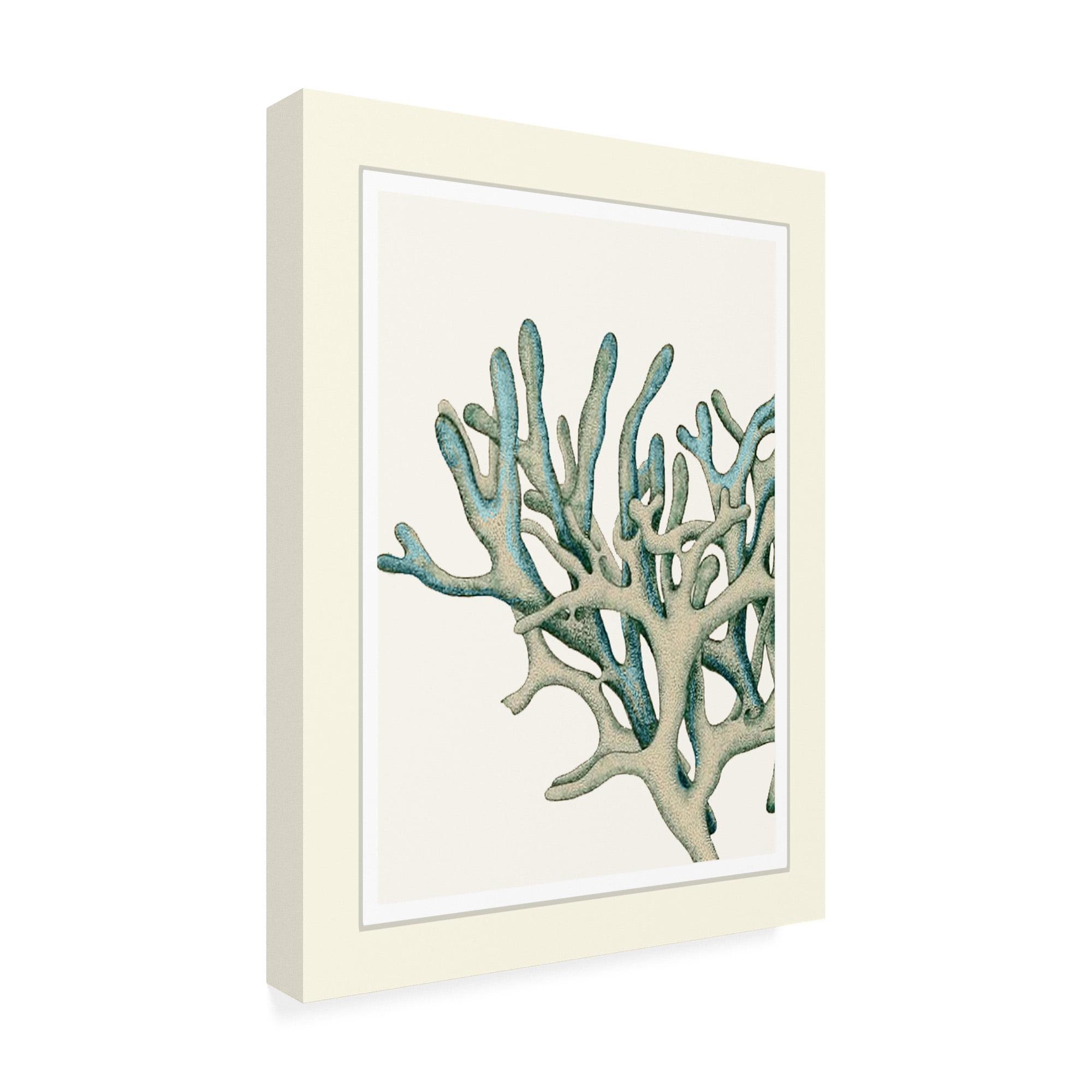 Trademark Fine Art 'Blue Underwater Scenes 1 C' Canvas Art by Fab Funky
