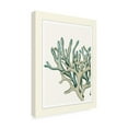 thumbnail image 2 of Trademark Fine Art 'Blue Underwater Scenes 1 C' Canvas Art by Fab Funky, 2 of 3