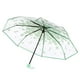 thumbnail image 2 of Cherry Blossom Umbrella Transparent Clear Umbrellas 8 Ribs Folding Umbrellas for Adult Kids Men and Women of All Ages, 2 of 8