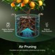 thumbnail image 4 of Bolsas de cultivo VIVOSUN, paquete de 5 unidades, 7,6 litros, tela no tejida con asas, 4 of 7