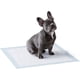 thumbnail image 1 of 45 cm * 60 cm Paquete de 50 almohadillas para excrementos de perro, a prueba de fugas, 5 capas, superficie de secado rápido, tamaño regular, para perros y cachorros, 1 of 4
