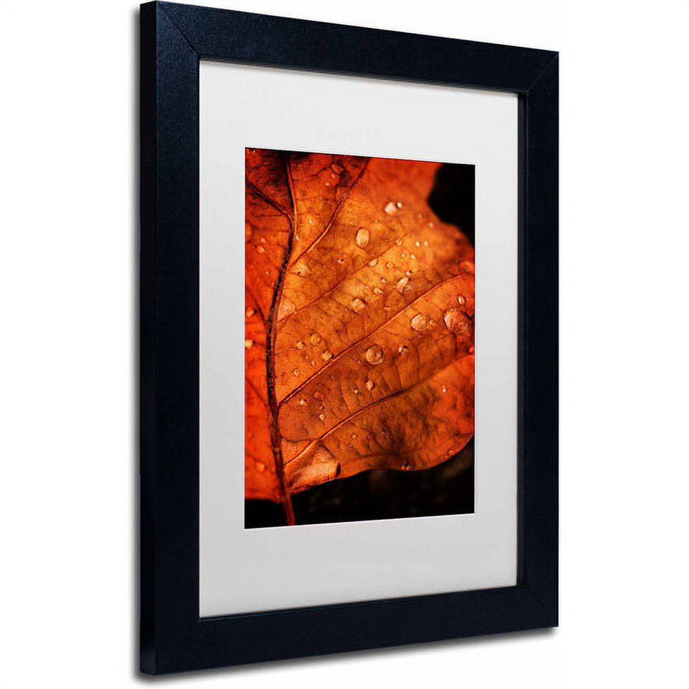 Trademark Fine Art "Autumn Droplets" Canvas Art by Philippe Sainte-Laudy, White Matte, Black Frame