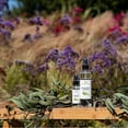 thumbnail image 5 of EuroSpa Aromatics Pure Eucalyptus Oil Shower Mist Spray Aromatherapy 8 Oz, Tea Tree Infused 2-Pack, 5 of 9
