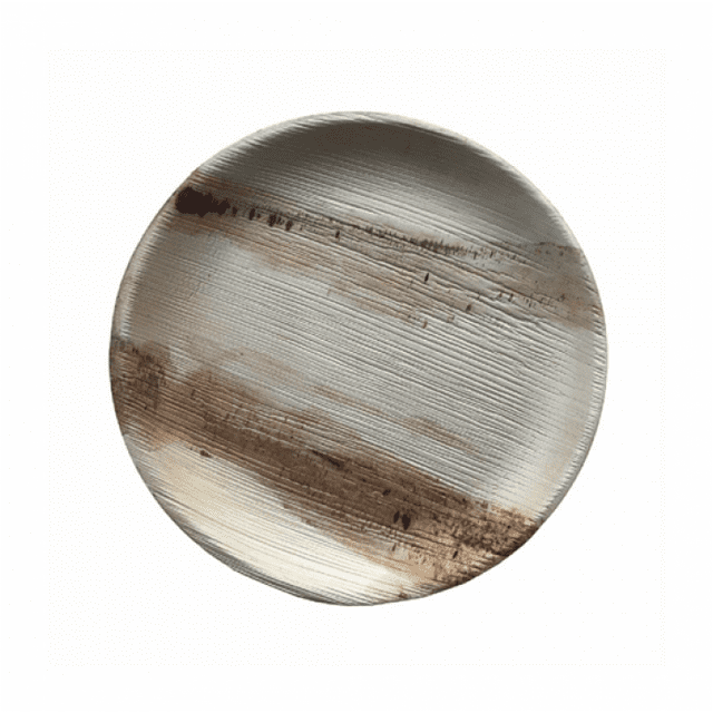 Shallow Round Plate|Bio Mart Areca Palm Leaf Plate|Natural, Eco-friendly, Heavy Duty, Re-usable, Backyard Compostable Biodegradable, Disposable supply|Theme Party, Wedding|Pack of 10, 50 or 100