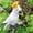 White, variant on Green Realistic Green Parrot Plush Stuffed Toy Soft Bird Animal Doll For Kids Home Decorative Ornaments