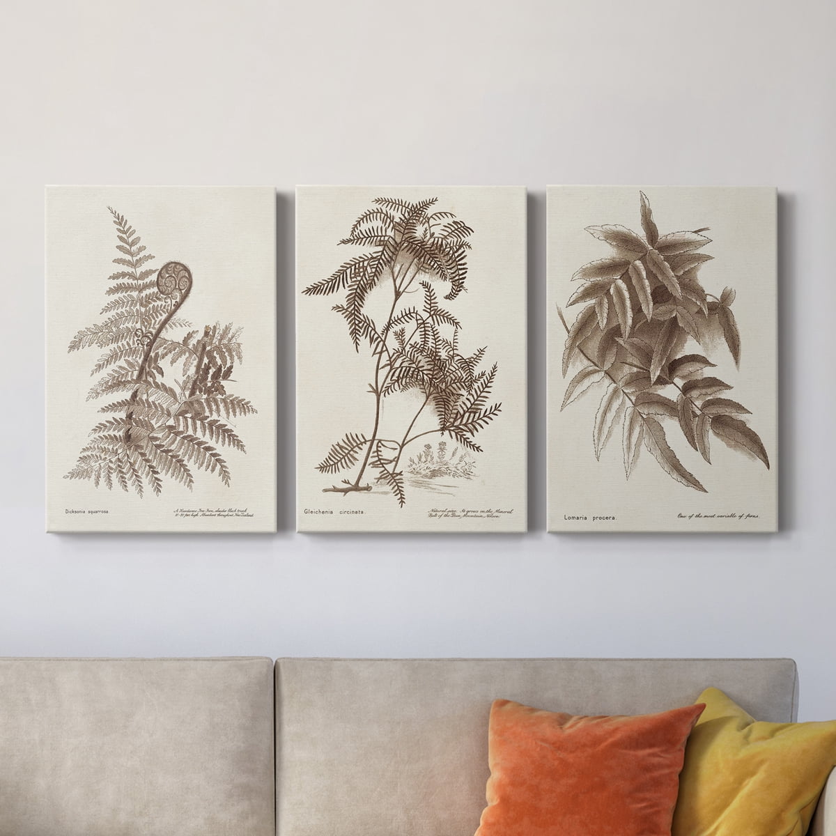Sepia Fern Varieties I Premium Gallery Wrapped Canvas - Ready to Hang - 24 x 36 Each
