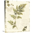 thumbnail image 1 of Global Gallery's 'Ivies and Ferns III no Dragonfly' By Lisa Audit Stretched Canvas Wall Art, 1 of 4