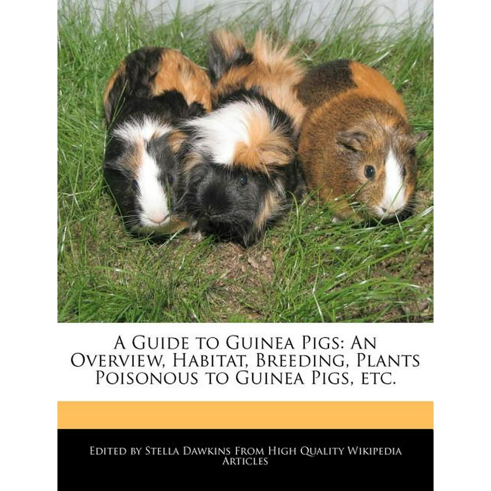 A Guide to Guinea Pigs An Overview, Habitat, Breeding, Plants