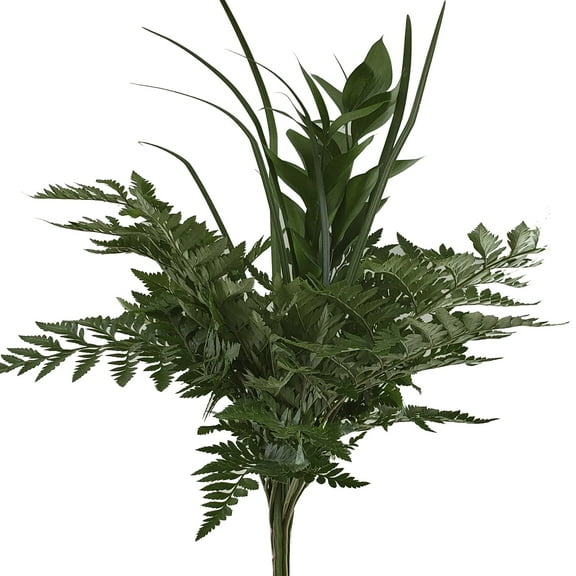 Imperial Greens Bouquet 5 Pack of Farm Direct Fresh Cut Flowers Bouquets of Mixed Greenery by Bloomingmore