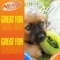 thumbnail image 5 of Nerf Dog Tennis Ball Blaster Dog Toy with 3 Balls, 12 inches, 5 of 13