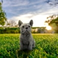 thumbnail image 1 of Decoración hogareña Estatua de perro Gwong Estatua Decorativa Resistente al desgaste Gris Sentado Puppy Resin Statue Decoración del jardín Gwong 21066801, 1 of 6