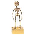 thumbnail image 2 of Clearance Halloween Dancing Skeleton Aquarium Bubbler, Action Skeleton Aquarium Ornament, Fish Aquarium Decor, Air-Driven Moving Skeleton Fish Tank Bubbler Decoration for Fresh & Saltwater Aquariums, 2 of 9