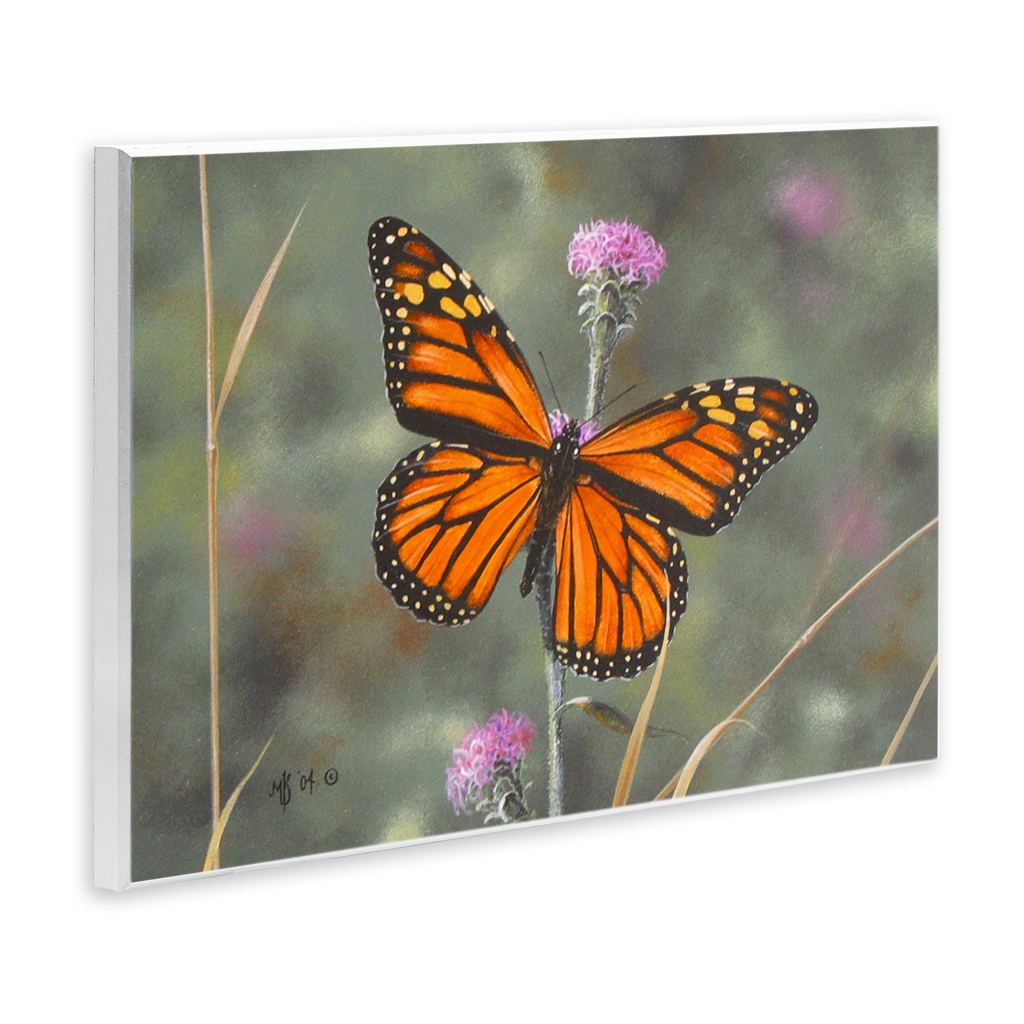 Stupell Industries Summer Visitor Butterfly Animals Photography Unframed Art Print Wall Art, 15 x 10