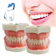 thumbnail image 4 of Modelo de dientes para implantes dentales Estudio didáctico Modelo estándar con dientes extraíbles, 4 of 5