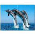 thumbnail image 1 of Dolphin Ceramic Tile Mural Kitchen Backsplash Bathroom Shower 402803-M43, 1 of 9