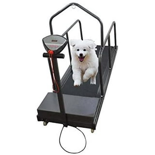 BowWowTread Dog Treadmill for Large/Medium Dogs, Dog Running Machine  Exercise Equipment for Large Dog Indoor Home 220lbs…