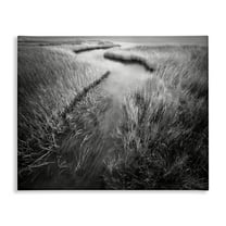 Stupell Industries Meandering Estuary View Landscape Photography Gallery Wrapped Canvas Art Print Wall Art, 40 x 30