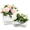 Ribbed + Oval (2-Pack), variant on Round Glass Vases Set of 2, Flower Vases for Bouquet, Ribbed Glass Vase for Flowers, Small Clear Vase