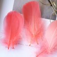 thumbnail image 1 of 100 Uds 8-12 Cm pluma de ganso flotante media pluma colorida Natural para decoración de ropa de fiesta de boda plumas artesanales DIY Tan Jianjun unisex, 1 of 2