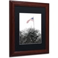 thumbnail image 2 of Trademark Fine Art "Courage" Canvas Art by CATeyes, Black Matte, Wood Frame, 2 of 4