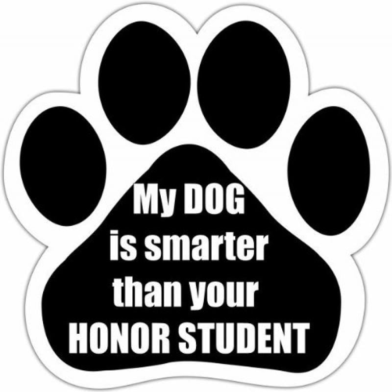 Chrome License Plate Frame My Poodle Is Smarter Than Your Honor Student Auto 521 