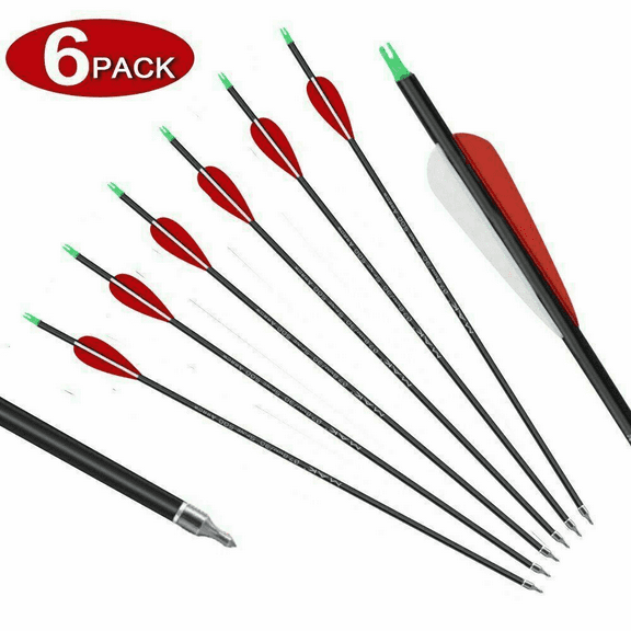 6Pcs 30 inch Carbon Arrow ID 7.8mm Spine 500 Practice Hunting w/ Removable Tips