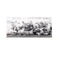 thumbnail image 4 of Unique Loom Serenity Shag Collection Area Rug - Vigie (2' x 6' Runner White/Gray), 4 of 10