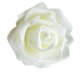 thumbnail image 1 of 50 piezas de flores artificiales Naiovety decoraciones de flores falsas Blanco crema, 1 of 6