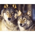 thumbnail image 3 of CafePress - Wolf Mates Large Mug - 15 oz Ceramic Large White Novelty Mug, 3 of 4