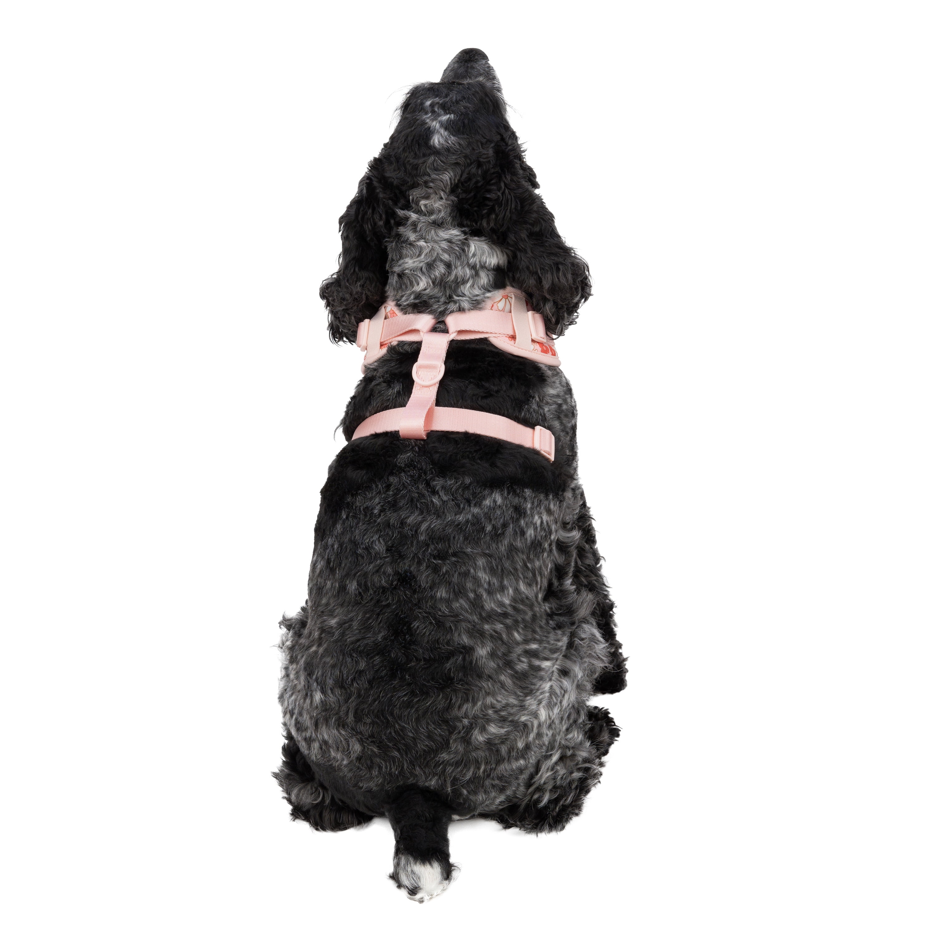 Vibrant Life Polyester & Spandex Floral Adjustable Dog Harness, Pink, Medium