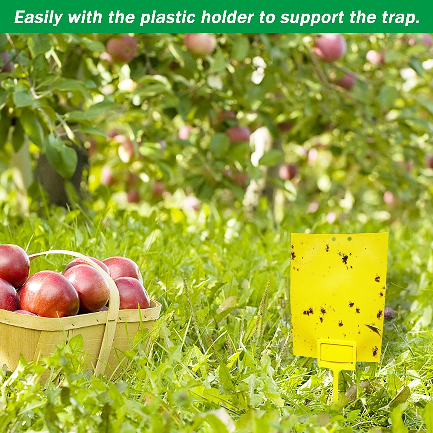 for Capture Insects Like Flies 8x6 Inch Gnats with Twist Ties and Plastic Holders 80 Sheets Yellow Sticky Traps Dual-Sided