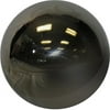 Stainless Steel Gazing Ball 10"