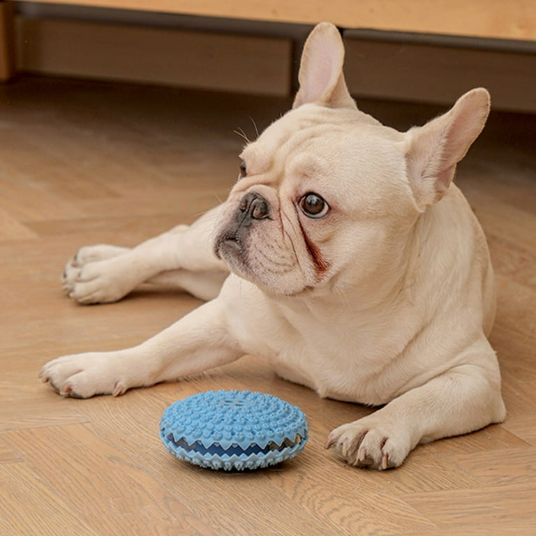French bulldog top teething toys