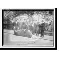 thumbnail image 2 of Historic Framed Print, Shooting bull . Central Park, 17-7/8" x 21-7/8", 2 of 9