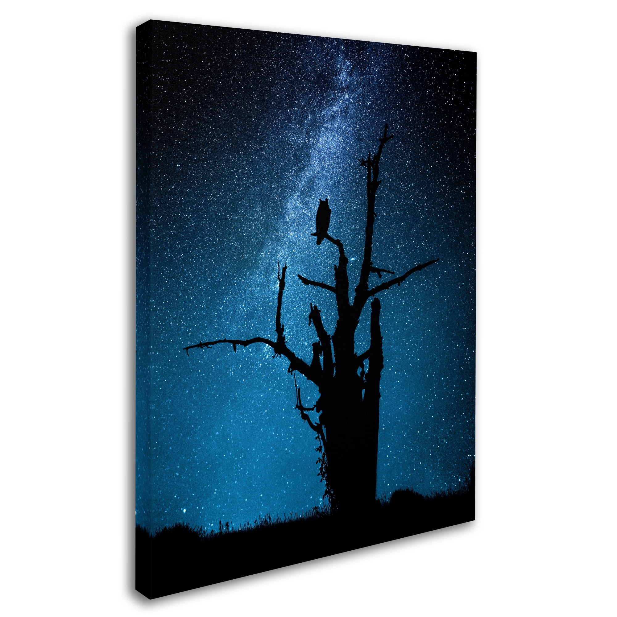 Trademark Fine Art 'Alone In The Dark' Canvas Art by Manu Allicot