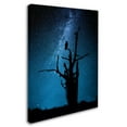 thumbnail image 2 of Trademark Fine Art 'Alone In The Dark' Canvas Art by Manu Allicot, 2 of 3