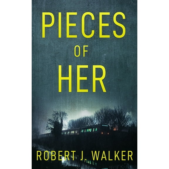 A Riveting Kidnapping Mystery Pieces of Her, Book 28, (Paperback)