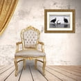 thumbnail image 3 of Illg, Cathy and Gordon 24x17 Gold Ornate Wood Framed with Double Matting Museum Art Print Titled - AK, Chilkat Pair of bald eagles waiting to feed, 3 of 4