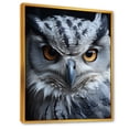 thumbnail image 2 of Designart "Enlightened Monochrome Gaze" Animals Owl Floater Framed Wall Art Living Room, 2 of 5