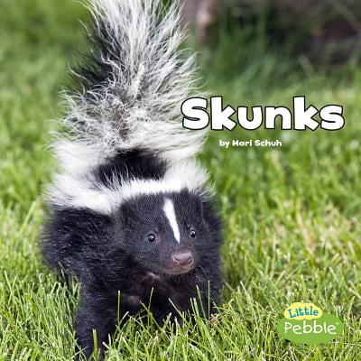 Skunks (Best Way To Remove Skunk Smell From Cat)