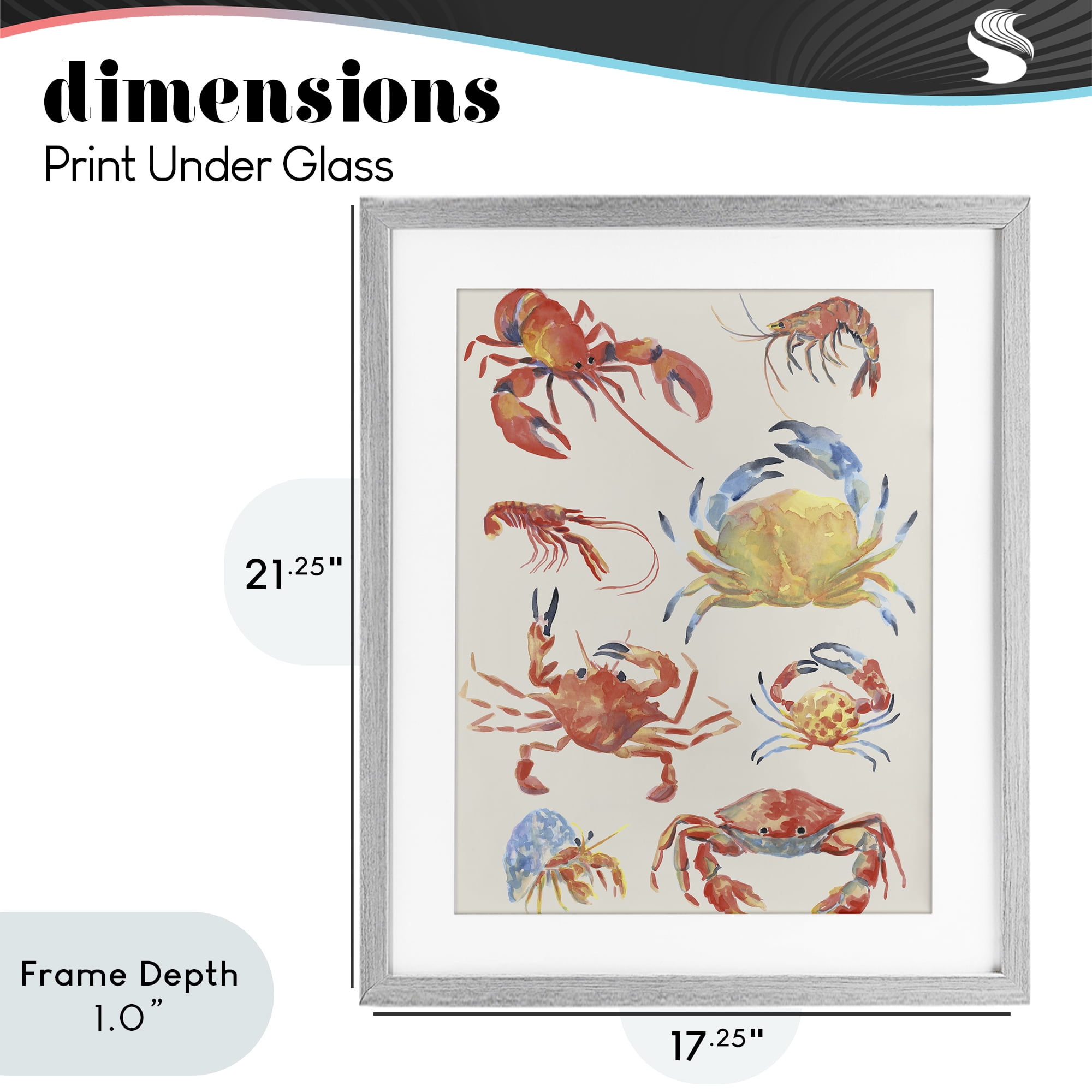 Stupell Industries Crab & Crustacean Collection Gray Framed Print Under Glass, design by June Erica Vess