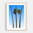 thumbnail image 2 of Tall Guardians - California Photography Palm Tree Tropical Nature Summer Minimalist Coastal Beach House Unframed Wall Art Print 12 x 18 inches, 2 of 60