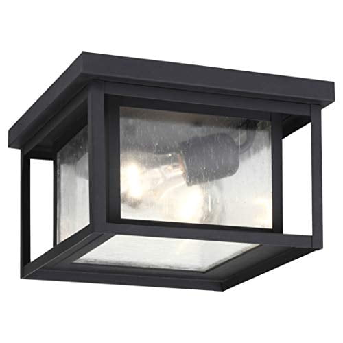 Sea Gull Lighting 78027-12 Hunnington Deux - Luminaire Extérieur Encastré au Plafond, Noir