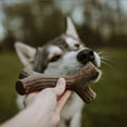 thumbnail image 5 of Lumabone Durable Maple Wood Flavored Stick Dog Chew Toy, Small, 5 of 8