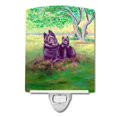 thumbnail image 1 of "Caroline's Treasures Schipperke and Puppy Ceramic Night Light, 6x4, multicolor" Caroline's Treasures 7263CNL, 1 of 1