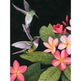 thumbnail image 3 of Popp, Grace 12x14 Black Modern Framed Museum Art Print Titled - In the Plumeria I, 3 of 5