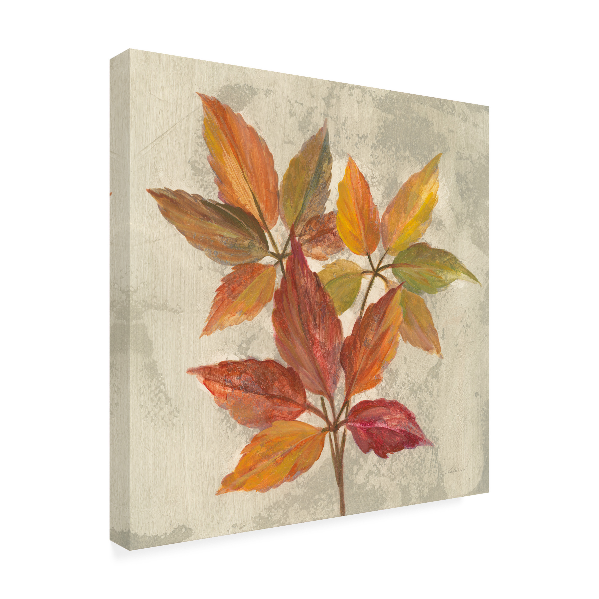 Trademark Fine Art 'November Leaves I' Canvas Art by Silvia Vassileva