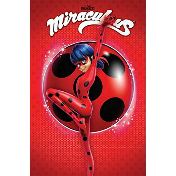 Pre-Owned Miraculous: Tales of Ladybug and Cat Noir: Spots on (Paperback) 1632292149 9781632292148