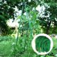 thumbnail image 1 of Red de Enrejado para Plantas Trepadoras 5m x 1,8m Vhermosa, 1 of 5