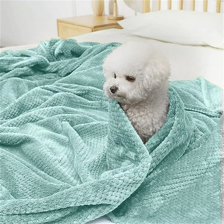 Mint green fluffy blanket sale